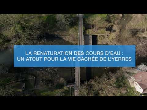 La renaturation des cours d'eau : un atout pour la vie cachée de l'Yerres