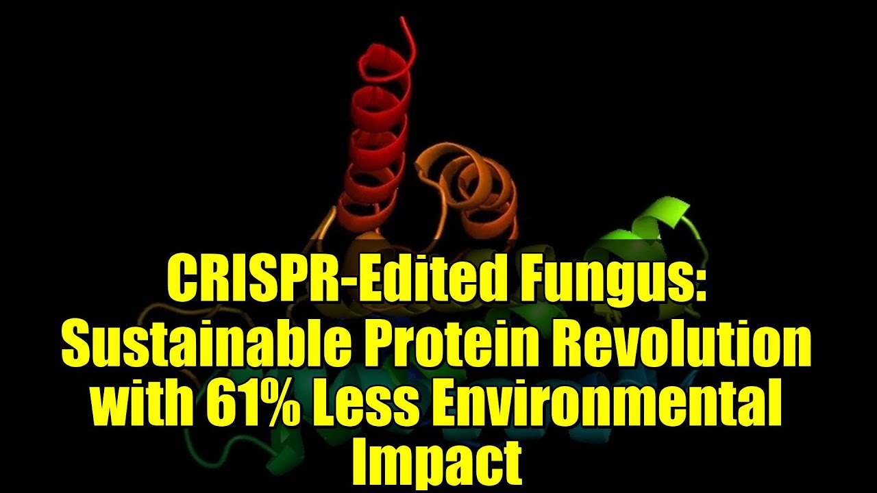 CRISPR-Modified Fungus Boosts Protein Yield and Significantly Cuts Environmental Impact