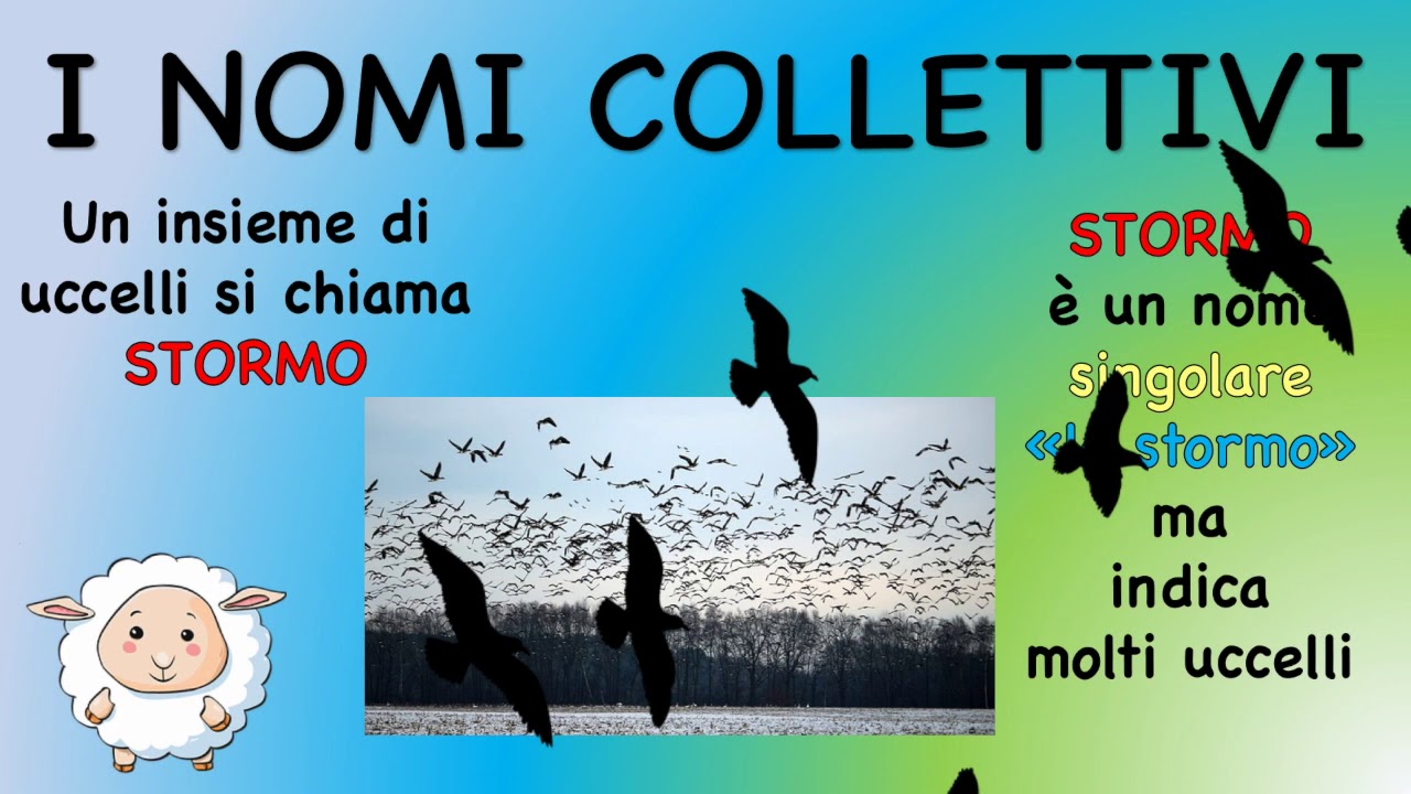 I nomi collettivi - classe terza