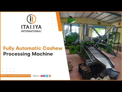 Automatic Cashew Nut Cutting Machine