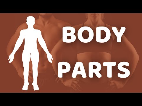 50 words about Body Parts| Common Vietnamese Vocabulary