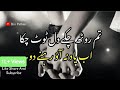 Tum Rooth Chuke Dil Toot Chuka Ab Yaad Na Aao Bin Pathan