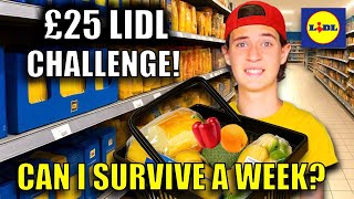 £25 GROCERY CHALLENGE! Can JoJo last the week LIVING ON A BUDGET?
