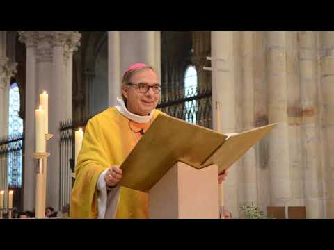 Homélie de Mgr Beau - Fête de saint Martin