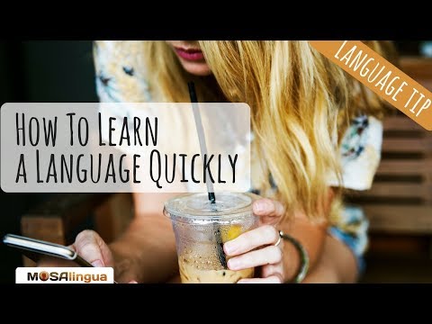 How to Learn a Language in 3 Months (You Can!) - MosaLingua