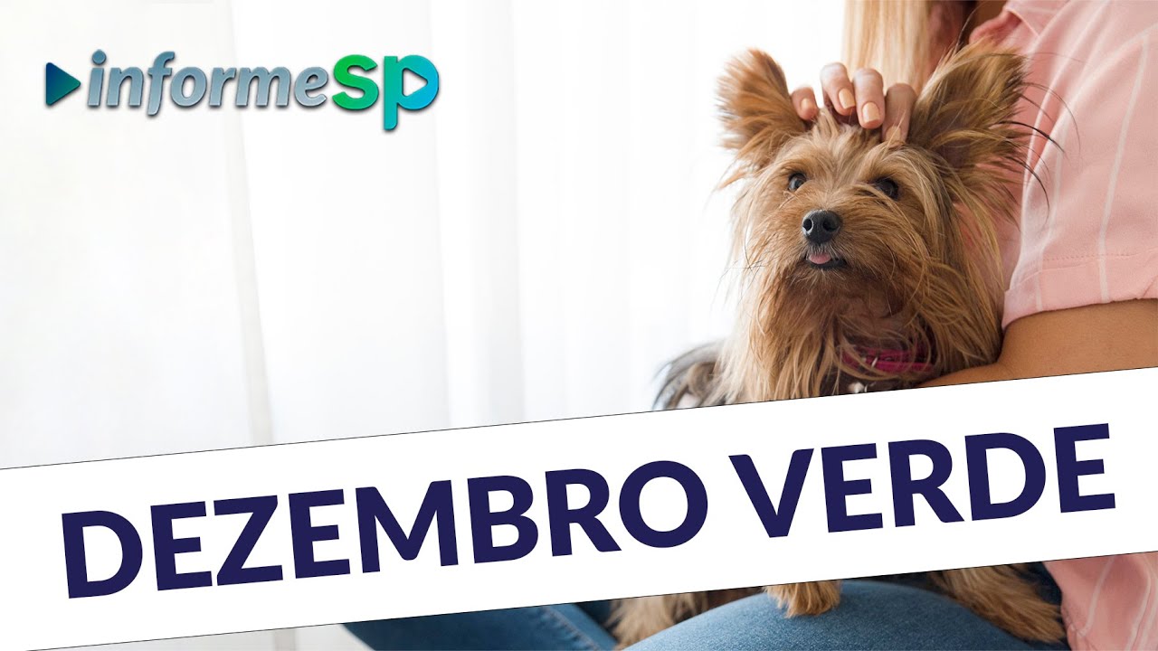 Informe SP discute a campanha de combate ao abandono de animais