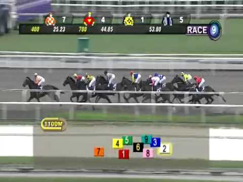 SINGAPORE RACE 01/01/2014 RACE 9 - iAgencyNet.com