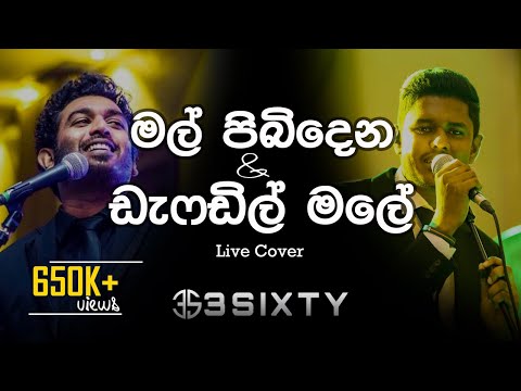 මල් පිබිදෙන & ඩැෆඩිල් මලේ | Mal Pibidena & Daffodil Male | Live Cover by 3Sixty