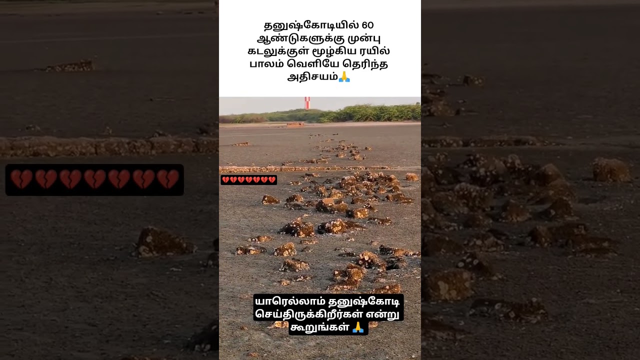 கடல் அரிப்பால் 60 ஆண்டுகளுக்கு முன்பு மூழ்கிய ரயில் பாலம் வெளியே தெரிந்த காட்சி🙏#shorts#viral#reels