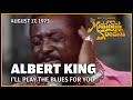I'll Play the Blues for You - Albert King | The Midnight Special