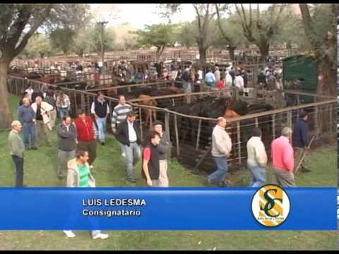 LUIS LEDESMA - 10/05/2013 - Ledesma y Arana S.R.L. - Tandil