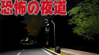 【ホラゲー】ひたすら夜道を進んだ先で待っていた恐怖