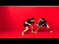 Chinese Traditional Martial Arts Ba Ji Quan EXPLAINED