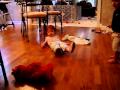 Tickle Me Elmo 2006