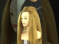 IMG 4111