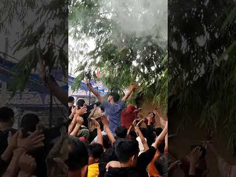 Dini Kurnia - Kalih Walasku (ONE PRO - Oslo Oslo) (Live Pemuda Rowo Bersatu)