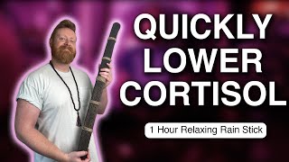 Lower Anxiety & Boost Well-being in Just 1 Hour! | Frequencies to Promote Relaxation