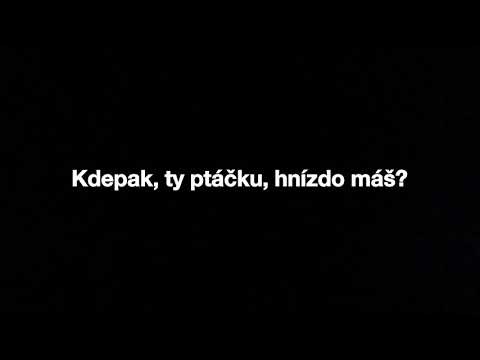 Kdepak, ty ptáčku, hnízdo máš? - Karel Gott