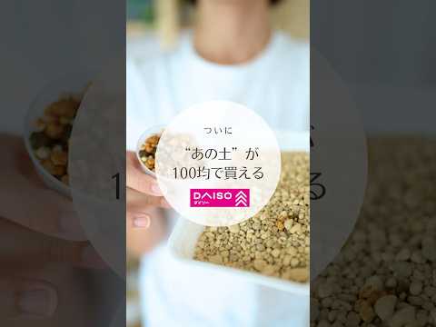 ロシアンドワーフアーモンド 植物