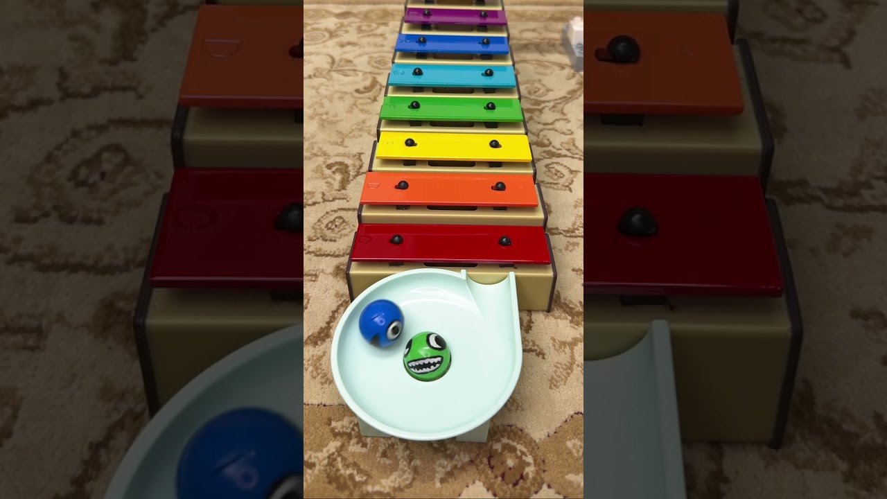 Marble Run &  Glockenspiel 🎶 #xylophone #glockenspiel #music #satisfying