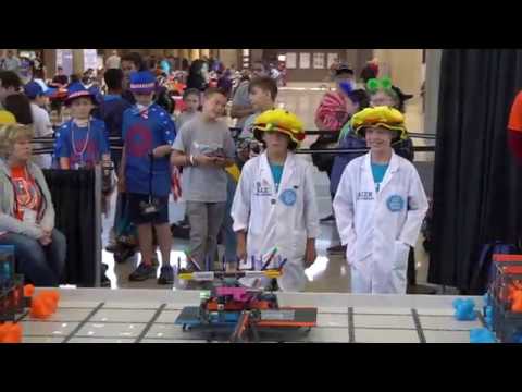 Flying Hamburgers Driver Skills Vex Worlds 2017 #2