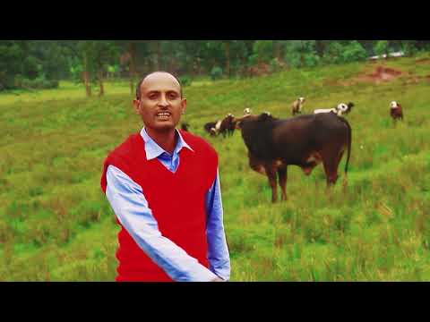 Darasaa Habtamu - (Burukee) Bullotoo - New Ethiopian Oromoo Music - 2020 Best video clip