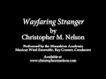 Wayfaring Stranger by Christopher M. Nelson