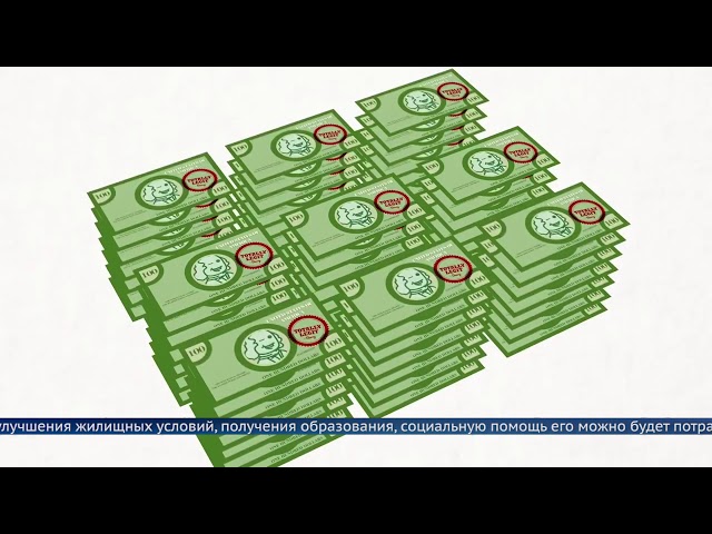 Материнские инвестиции