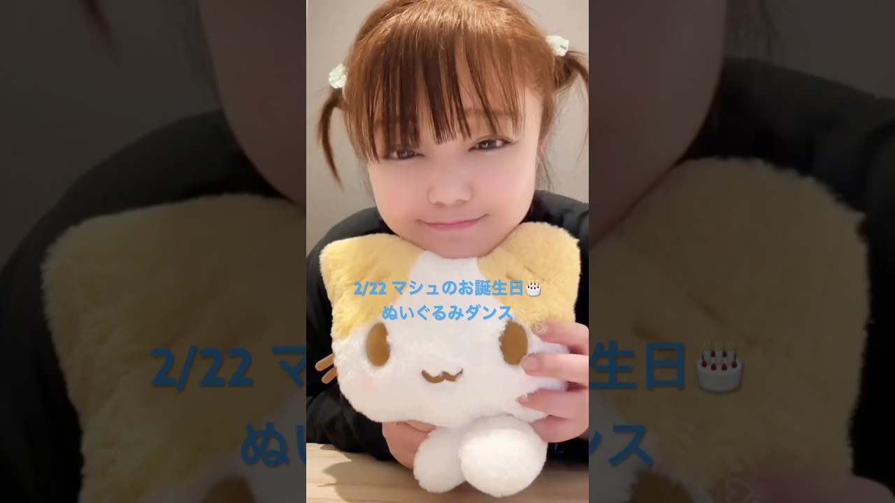 ぬいぐるみダンス（マシュマロみたいなふわふわにゃんこ） #sanrio #japan