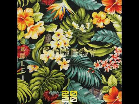 Sad boy - 168 x BLEJ (Official audio)