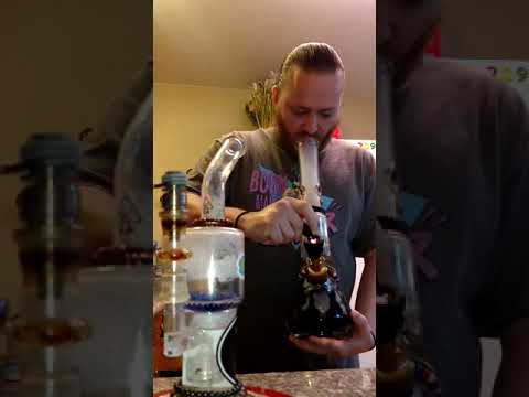 Back to back! Bowl of Chocolate Hashberry & Dab of Gelato 33 live resin. Cheers! 😻💨