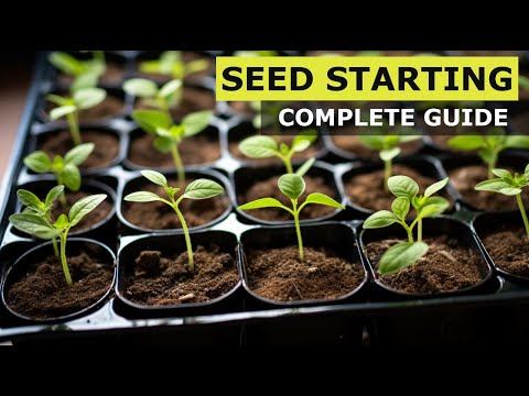 Seed Starting Masterclass: Complete Guide to Grow Seedlings