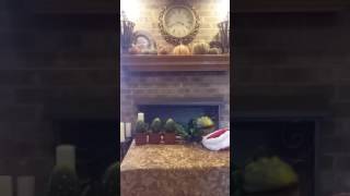 Audrey II puppet 1 sings "All I want for Christmas is my two front teeth"