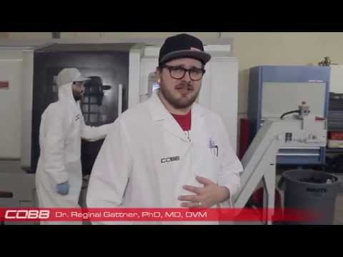COBB Tuning - Introducing the all NEW White COBB Knob