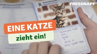 Katzeneingewöhnung: Eine Katze zieht ein - Planung, Gesundheit und Aus