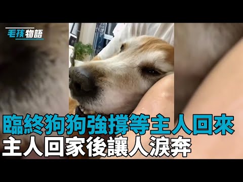 主人家