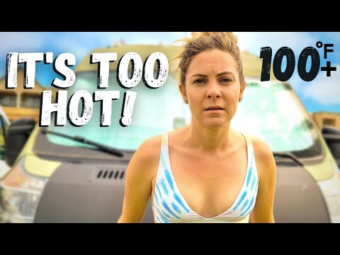Summer is BRUTAL😓🌞How to STAY COOL Living in a Van with a Dog