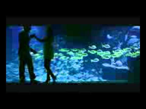 AXEL TONY feat ADMIRAL T   Ma reine   Clip officiel   YouTube 2