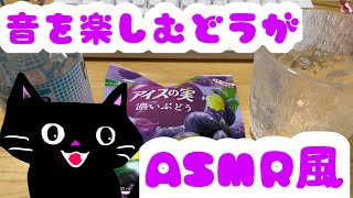 【実写動画】良い感じの動画撮りたかった黒ぬこのASMR(？)