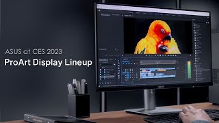  Lineup Highlight - OLED PA32DCM & PA279CRV