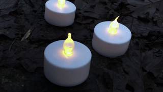 Pencoed Media 2017-18- Home Black Foxxes