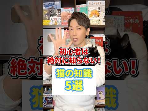 猫の原始滑液包 – それは何で、何のためにあるのか
