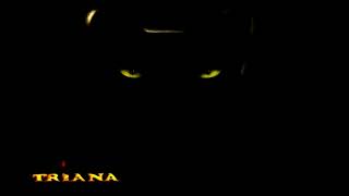 TRIANA - CAUDALOSO RÍO (UN ENCUENTRO - 1980)