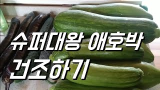 슈퍼 울트라 대왕 애호박 말리기. 호박건조