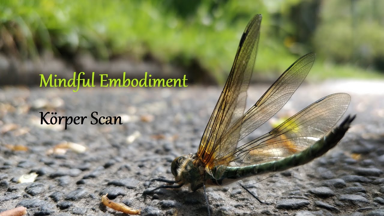 Mindful Embodiment Geführter Körper Scan