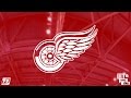 Detroit Red Wings 2014-2015 Goal Horn ������ - YouTube