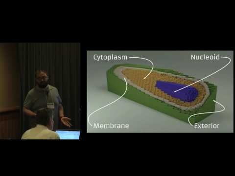 Simulating Ribosome Biogenesis in Replicating Whole Cells -- Tyler Earnest