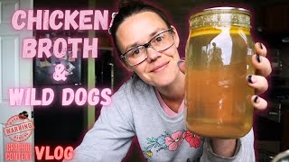 Homesteading Reality: Harvesting Chicken & Chat About Wild Dogs | Hamakua Homestead