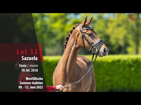 Sommer-Auktion Lot 32 Sazuela Stute v. Sir Heinrich - Vitalis