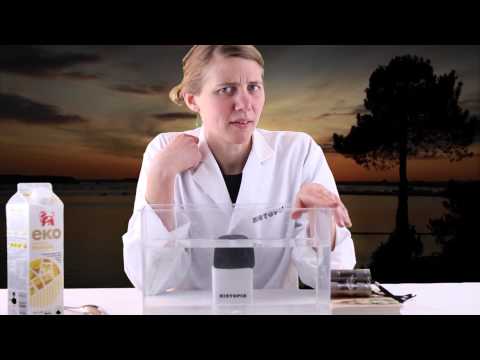 5 december: varför är solnedgångar röda?